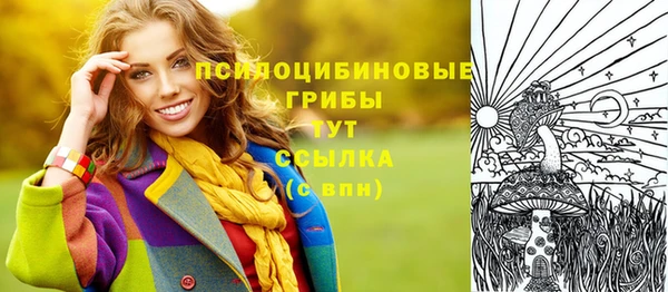 MDMA Premium VHQ Бронницы