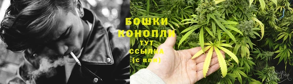 apvp Семёнов