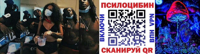 что такое   Томари  Галлюциногенные грибы Psilocybe 